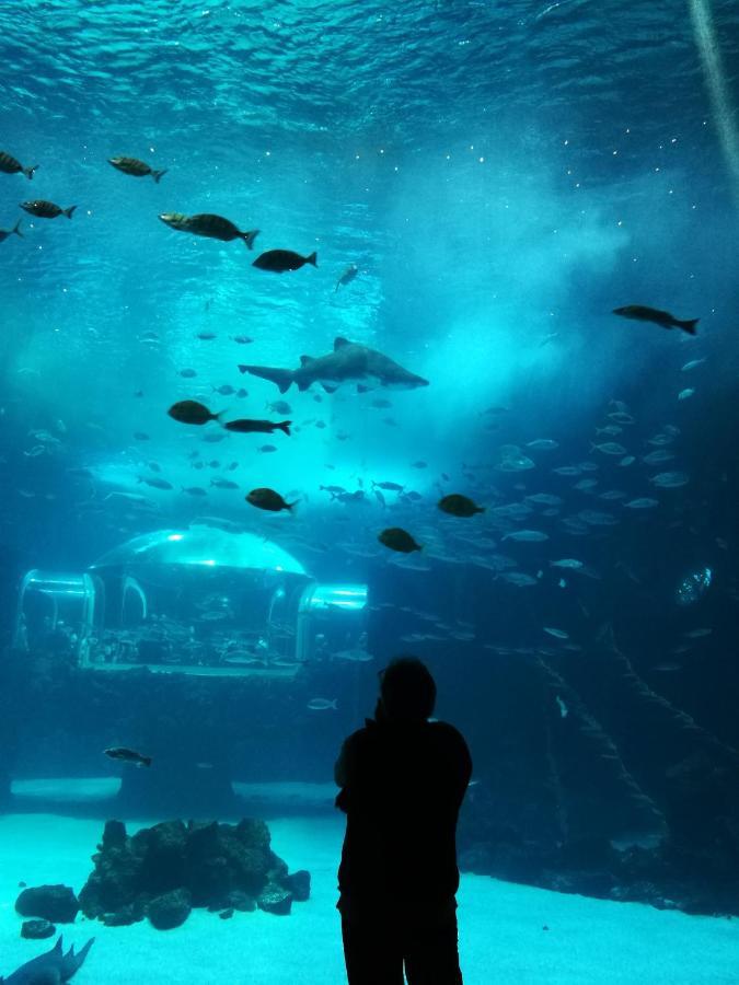 Las Canteras Aquarium Las Palmas de Gran Canaria Ngoại thất bức ảnh