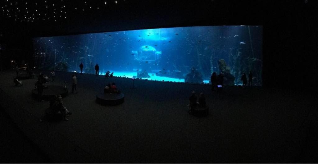 Las Canteras Aquarium Las Palmas de Gran Canaria Ngoại thất bức ảnh